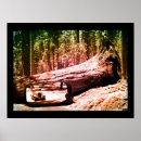 Suche nach naturschutz poster Wald