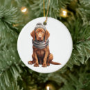 Suche nach vizsla weihnachten Tier