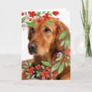 Suche nach hund mit blumen karten Rot