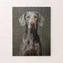 Suche nach weimaraner puzzle Grau