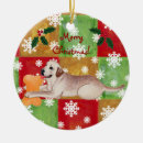 Suche nach labrador ornamente Niedlich