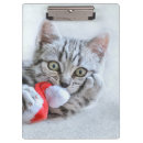 Suche nach kätzchen klemmbrett Kleintiere