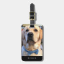 Suche nach golden retriever accessoires Monogramm