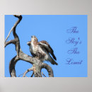Suche nach keine grenzen poster Tierwelt