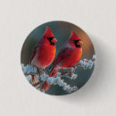 Suche nach roter kardinal buttons Vögel