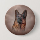 Suche nach bunter hund buttons Tiere