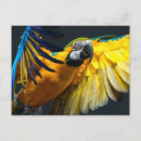 Suche nach dunkler hintergrund postkarten Blau