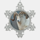 Suche nach ram ornamente Tier