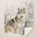 Suche nach für den sibirischen husky decken Zäh