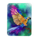 Suche nach parrot magnete Vogelvogel