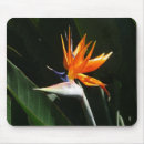Suche nach grüner vogel mousepads Blume