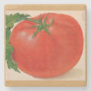 Suche nach tomaten untersetzer Obst