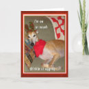 Suche nach betrunken postkarten Tier