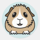 Suche nach meerschweinchen aufkleber Cavy