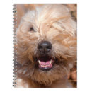 Suche nach fell kleine notizbücher Hund