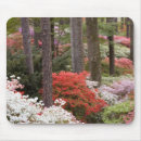 Suche nach mountains mousepads Im freien