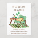 Suche nach neue katze postkarten Wir haben uns bewegt