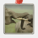 Suche nach indischer elefant ornamente Corbett