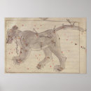 Suche nach constellations poster Star