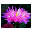 Suche nach lila kaktus poster Rosa