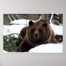 Suche nach bern poster Tiere