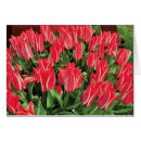 Suche nach pinocchio postkarten Weiß