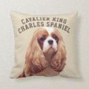Suche nach kavalier kissen Charles