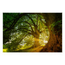 Suche nach sunbeam Sonnenlicht