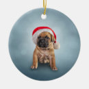 Suche nach cane corso ornamente Niedlich