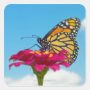 Suche nach reinheit aufkleber Natur