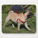 Suche nach trägt mousepads Hund