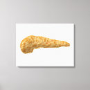 Suche nach anatomie leinwandbilder Medizin