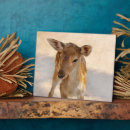 Suche nach hirsch fotoplatten Junggesellstag