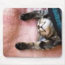 Suche nach kätzchen mousepads Keine leute