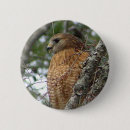 Suche nach falke buttons Natur
