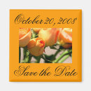 Suche nach orange rose magnete Foto