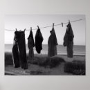 Suche nach hanging poster Photography