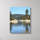 Suche nach schwan leinwandbilder See