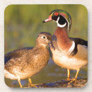 Suche nach baumstamm untersetzer Vogel