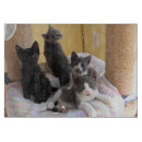 Suche nach katze küchenutensilien Niedlich