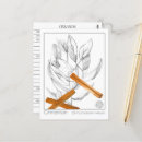 Suche nach zimt poster Gewürz