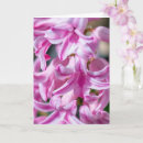 Suche nach hyazinthe karten Für sie