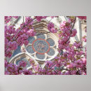 Suche nach rosa kirschblüten poster Fotografie