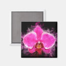 Suche nach orchideen magnete Blume