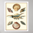 Suche nach strand poster Meer