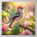 Suche nach buff poster Vogelvogel