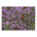 Suche nach redbud baum Bäume