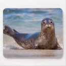 Suche nach christopher mousepads Christopher talbot frank