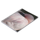 Suche nach rosa flamingo notizbuch Vogel