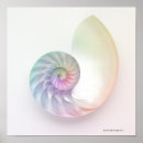 Suche nach nautilus poster Tiere